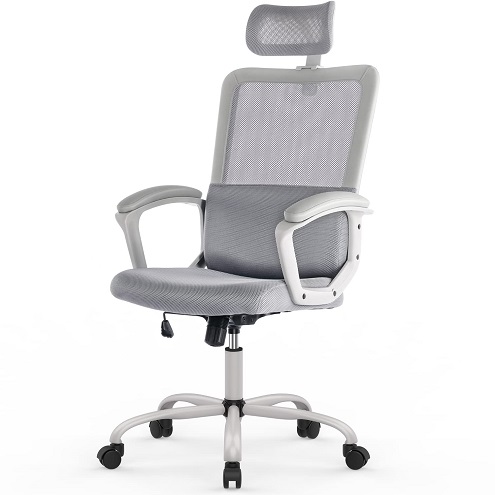 SMUG Ergonomic Home Computer Lumbar Support Mesh Adjustable Headrest Armrest and Wheels Swivel Rolling (Grey) Office Chair, List Price is $89.99, Now Only $59.90