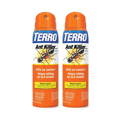 TERRO T401SR Indoor and Outdoor Ant Killer Aerosol Spray - Kills Ants, Cockroaches, Crickets, Scorpions, Spiders, and Other Insects - 2 Pack 32 Total Ounces,  Only $9.94
