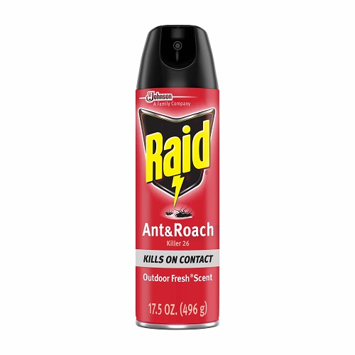 Raid 雷达 蚂蚁/蟑螂 杀虫喷雾，17.5 oz，原价$6.00，现仅售$4.89 ，免运费！