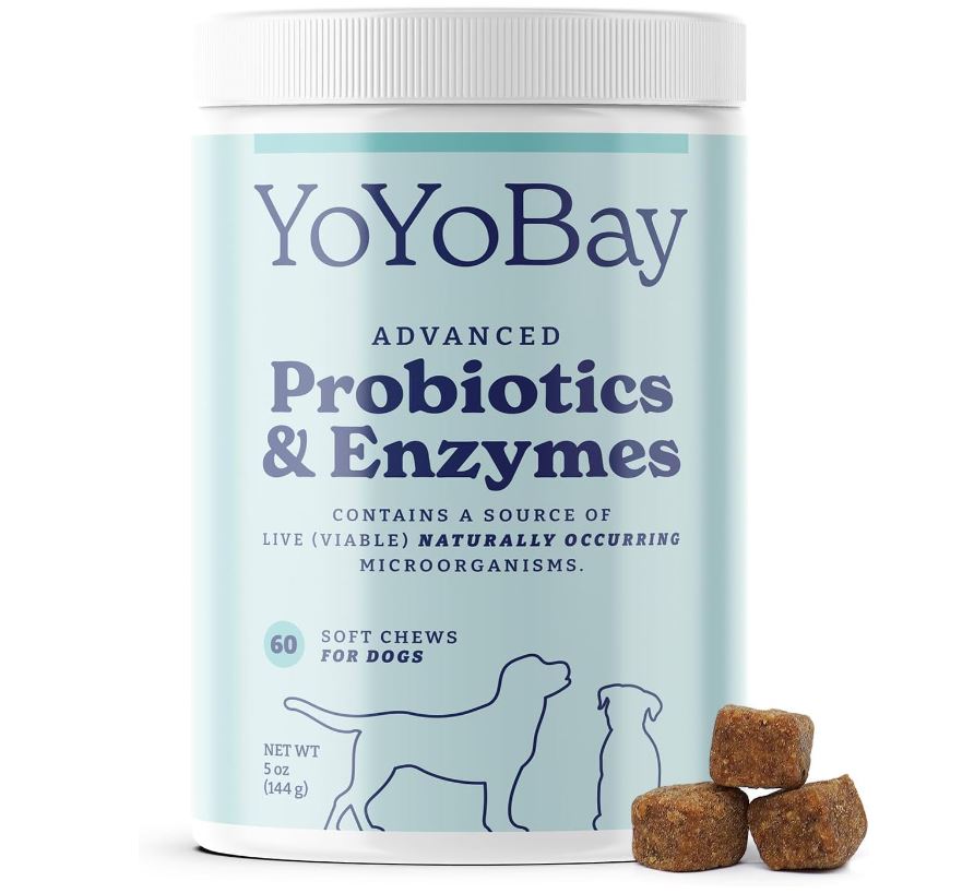 Probiotics for Dogs, Dog Probiotics and Digestive Enzymes, Dog Chews Probiotic for Gut Health and Digestive Health, 60 Soft Chews