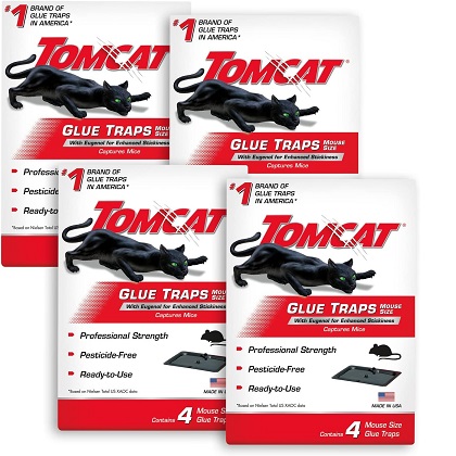 Tomcat Mouse Trap with Immediate Grip Glue for Mice, Cockroaches, and Spiders, Ready-to-Use, 4-Pack (16 Glue Traps), only $8.09