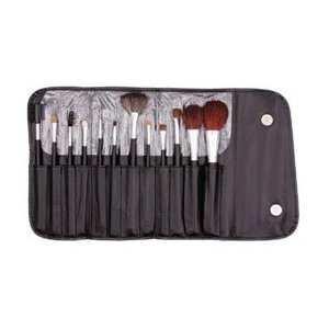 13 Piece Makeup Brush Set and Case  $9.99 