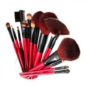 SHANY Professional 13-Piece Cosmetic Brush Set with Pouch, Set of 12 Brushes and 1 Pouch, Red, only $7.30, free shipping after clipping coupon and using SS