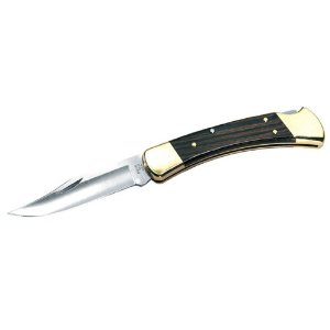 Buck 110BRS Folding Hunter, Lockback Folding Knife $27.99+free shipping