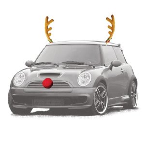 Reindeer Auto Outfit 2012 $5.99