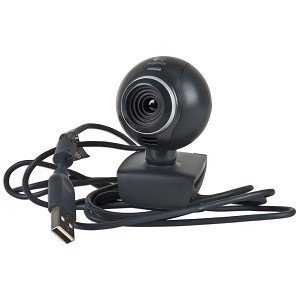 Logitech C300 Webcam - Black (960-000347)$19.99  (60%)