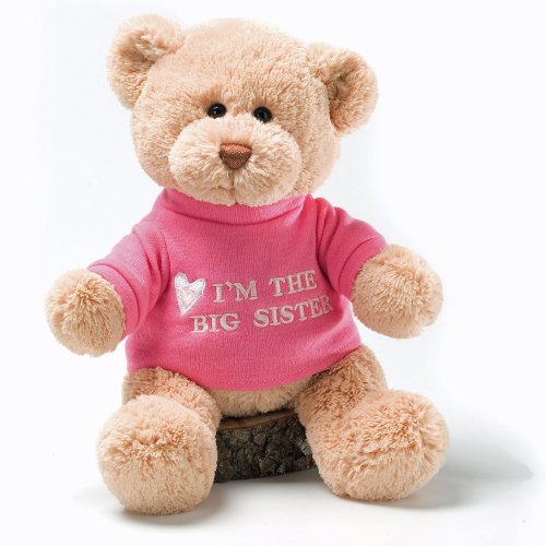 超赞！ 套在T恤里的泰迪熊，Gund 毛绒泰迪熊，12吋，原价$11.99，现仅售$7.99