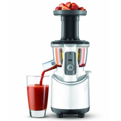 Breville BJS600XL Fountain Crush Masticating Slow Juicer, only $169.98, free shipping