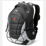 SwissGear SA9769 Computer Backpack (Black/Light Gray or red) $39.99(60% off)