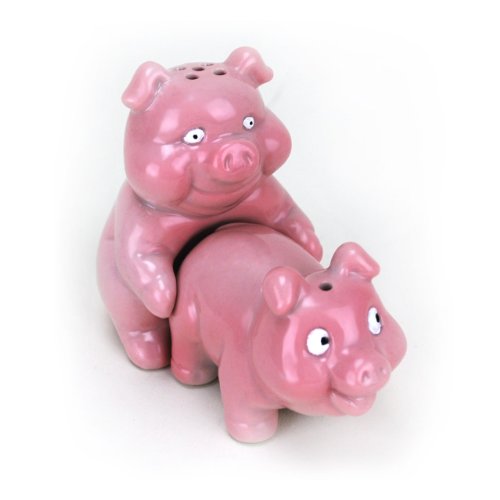 Big Mouth Toys Naughty Pigs Salt and Pepper Shaker Set, only $6.21 