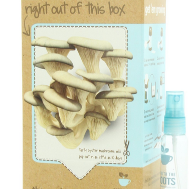 Back To The Roots Mushroom Kit $18.99 with Ss