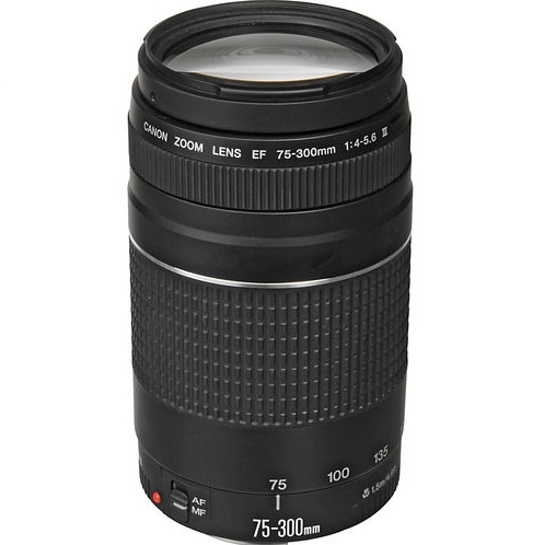 Canon EF 75-300mm f/4.0-5.6 III遠攝變焦單反鏡頭 $94.99免運費