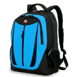 SwissGear Lightweight Feature Laptop Backpack (SA3077.D) $22 FREE Shipping on orders over $49
