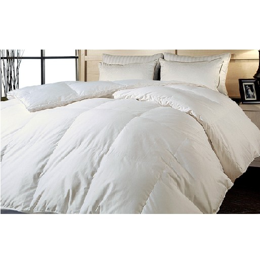 700-Thread-Count Hungarian White Goose Down Comforters  $124.99