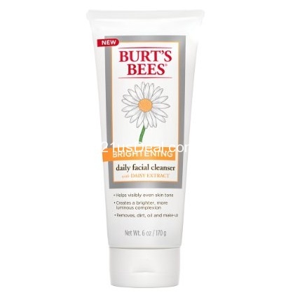 Burt's Bees Brightening Daily Facial Cleanser, 6 Ounces, only $6.17, free shipping after using SS