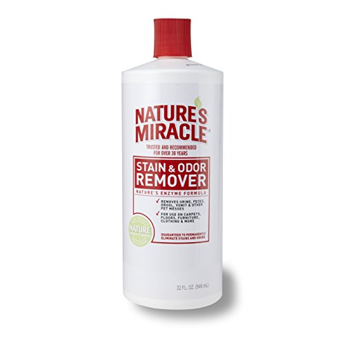 Nature's Miracle Original Stain & Odor Remover,  only$3.89