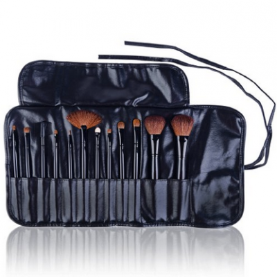 Amazon-SHANY Cosmetics Professional 12-Piece Natural Goat and Badger Cosmetic Brush Set with Pouch, Jet Black, Only $9.99 after clipping coupon