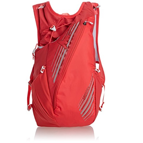 Gregory Mountain Products Pace 8 Hydration Pack, only $48.85, free shipping