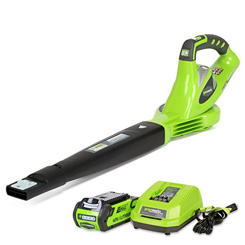GreenWorks 24252 G-MAX 40V Li-Ion Cordless Variable Speed Sweeper-40V 2 AH Li-Ion Battery Inc., only $89.21, free shipping