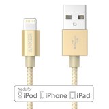 [Apple MFi Certified] Anker® 3ft / 0.9m Nylon Braided Tangle-Free Lightning to USB Cable with Aluminum Connector Heads for iPhone, iPod and iPad (Golden) $14.99 FREE Shipping on orders over $49