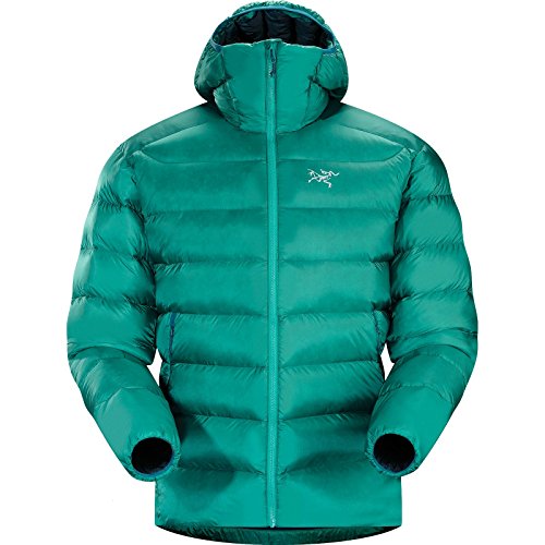 Arc'teryx Cerium SV Down Hoody - Men's, only $374.21, free shipping