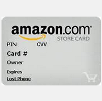 Amazon Store card 5% back on all Amazon purchases or special financing on 149.00 + 40.00 gift card for prime members