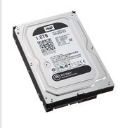 西部數據 黑盤1TB 3.5寸高性能台式機硬碟 64MB 緩存 WD1003FZEX $69.99 免郵費