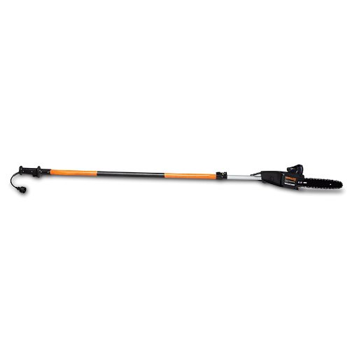 Remington RM1015P Branch Wizard Plus 10-Inch 8 Amp 2-in-1 Electric Chain Saw/Pole Saw Combo, only $79.88, free shipping