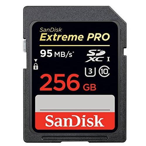 SanDisk Extreme PRO 256GB UHS-I/U3 SDXC Flash Memory Card with up to 95MB/s- SDSDXPA-256G-G46, only$122.77 , free shipping