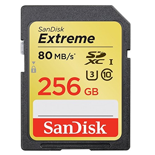 SanDisk Extreme 256GB U3/UHS-I SDXC with 4K Ultra HD, Up to 80MB/s Read;60MB/s Write- SDSDXN-256G-G46[Newest Version], only $100.85	$94.02 , free shipping