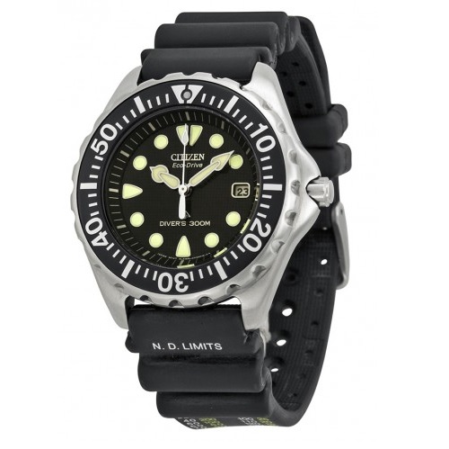 CITIZEN Professional Diver Eco-Drive Men's Watch Item No. BN0000-04H, only $137.50, free shipping