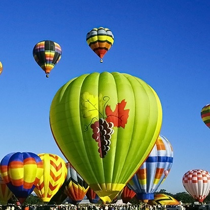 $179 for a Hot Air Balloon Flight for One with Champagne Toast from Wine Country Balloons ($235 Value), only $134.25, free shipping after using coupon code 