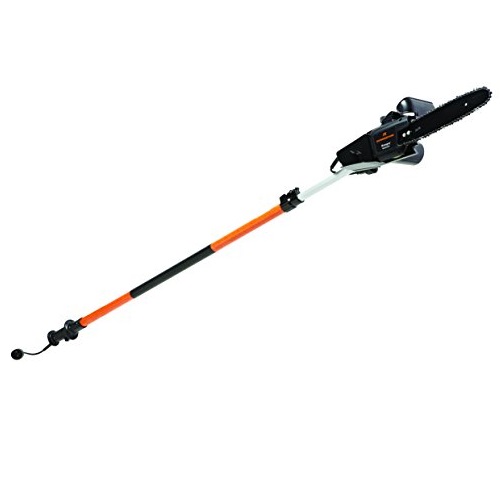 Remington RM1025P Ranger 10-Inch 8 Amp 2-in-1 Electric Chain Saw/Pole Saw Combo, only $69.99, free shipping