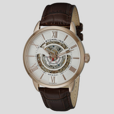 Stuhrling Original Men's 696.03 Delphi Analog Display Automatic Self Wind Brown Watch $94.99, FREE shipping