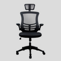Techni Mobili Executive Mesh High Back Chair with Headrest, Black $79.99, FREE shipping