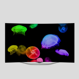LG Electronics 55EC9300 55-Inch 1080p 3D Curved OLED TV $1,797.99, FREE shippping