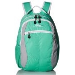 High Sierra Curve Backpack $13.95 FREE Shipping on orders over $49