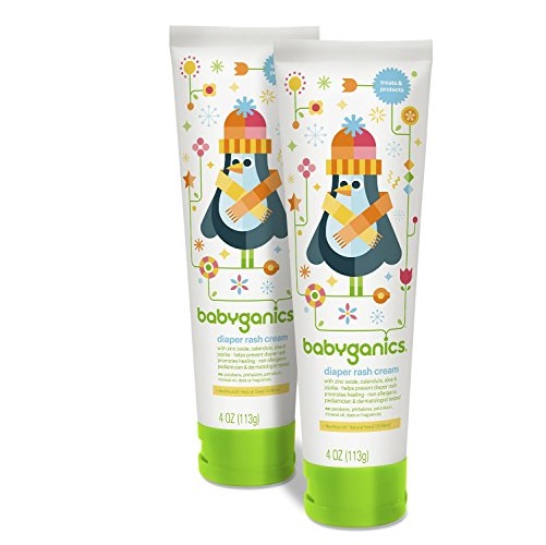 Babyganics Diaper Rash Cream, 4oz Tube (Pack of 2), only $10.18, free shipping after clipping coupon and  using SS
